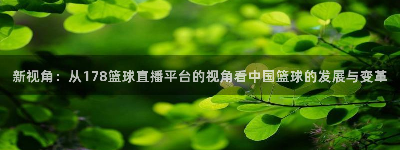 新视角：从178篮球直播平台的视角看中国篮球的发展与变革